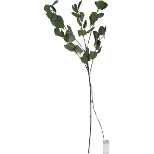 LED dekorācija eikalipta zars Star Trading Twig Eucalyptus, 90cm, 15LED, IP20, 2xAA, ar taimeri