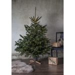 Ziemassvētku Egles statīvs Star Trading Granig, 3-11cm stumbram, 1l
