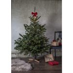 Ziemassvētku Egles statīvs Star Trading Granig, 3-11cm stumbram, 1l