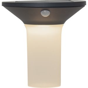 LED sienas gaismeklis ar saules bat. un kustības sens. Star Trading Valta 20cm, 400lm, WW, IP44