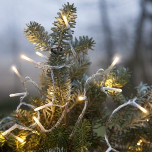 LED āra virtene Star Trading Serie MicroLED, 18m, 180LED, 2700K, IP44, ar caursp. kabeli