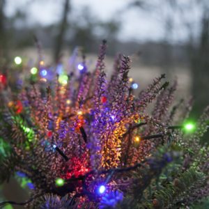 LED āra virtene Star Trading Serie MICROLED 3m, 30LED, MC, IP44