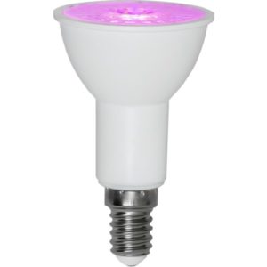 LED augu audzēšanas spuldze Star Trading E14, PAR16, 3.5W, 50lm, IP20, sarkani-violeta gaisma