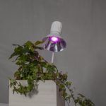 LED augu audzēšanas spuldze Star Trading GU10, MR16, 3.5W, 42lm, IP20, sarkani-violeta gaisma