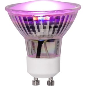 LED augu audzēšanas spuldze Star Trading GU10, MR16, 3.5W, 42lm, IP20, sarkani-violeta gaisma