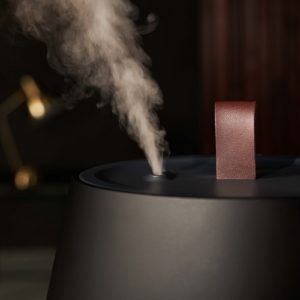 Ultraskaņas gaisa mitrinātājs Duux Tag Gen 2 DXHU14, 12W, 2.5l, 30m², 250 ml/h