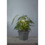 LED dekorācija Salūts Star Trading Firework®, 60LED, CW, 42cm, IP20, 3xAA, ar taimeri