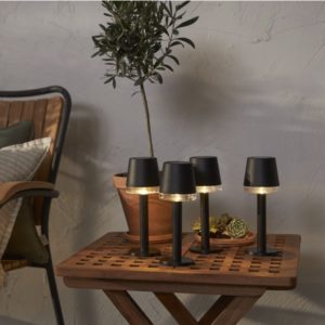 LED dārza gaismeklis ar saules bateriju Star Trading Parvus, 21cm, 5lm, 3000K, IP44