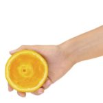 Elektriskā citrusaugļu sulu spiede Sage the Citrus Press™ SCP600 SIL, 110W, Ner. tērauda