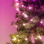 Viedā egle ar LED gaismām Twinkly Pre-lit Regal Tree RGB, 1.5m, 270LED, IP20, BT+WiFi