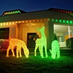 Viedā LED āra dekorācija Briedis Twinkly 3D Reindeers - Stag, 1.2m, 200LED, RGB+W, IP44, BT+WiFi