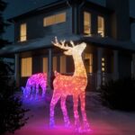 Viedā LED āra dekorācija Briedis Twinkly 3D Reindeers - Stag, 1.2m, 200LED, RGB+W, IP44, BT+WiFi