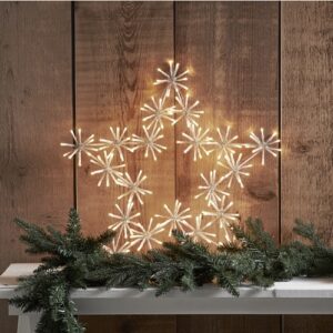 LED āra dekorācija Zvaigzne Star Trading Flower Star, 60cm, WW, 200LED, 367lm, IP44