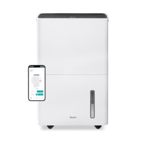 Viedais mitruma savācējs Duux Bora 30L+laundry mode DXDH30, 420W, 4l, 50m², ar higrostatu
