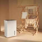 Viedais mitruma savācējs Duux Bora 30L+laundry mode DXDH30, 420W, 4l, 50m², ar higrostatu