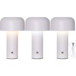 LED galda lampa uzlādējama Star Trading Bobby, 1W, 20lm, 2700/4000/6000K, IP20, Balta
