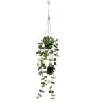 LED dekorācija Star Trading Decorative Twig Laos, 60cm, 35LED, WW, IP20, 3xAA, ar taimeri