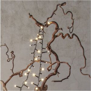 LED āra virtene Star Trading Shiny, 2.8m, 40LED, 2700K, IP44, ar taimeri, dimmējama