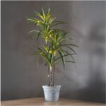 LED dekorācija palma Star Trading Decorative Tree Bali, 90cm, 50LED, WW, IP20, 3xAA, ar taimeri