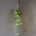 LED dekorācija Star Trading Decorative Twig Laos, 60cm, 35LED, WW, IP20, 3xAA, ar taimeri