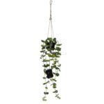 LED dekorācija Star Trading Decorative Twig Laos, 60cm, 35LED, WW, IP20, 3xAA, ar taimeri