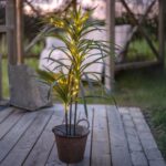 LED dekorācija palma Star Trading Decorative Tree Bali, 90cm, 50LED, WW, IP20, 3xAA, ar taimeri