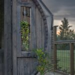 LED dekorācija Star Trading Decorative Twig Laos, 60cm, 35LED, WW, IP20, 3xAA, ar taimeri