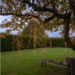 LED āra virtene Star Trading Shiny, 16m, 800LED, 2700K, IP44