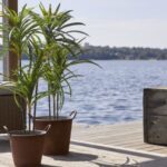 LED dekorācija palma Star Trading Decorative Tree Bali, 90cm, 50LED, WW, IP20, 3xAA, ar taimeri