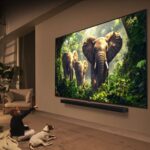 Viedais televizors LG QNED evo AI QNED86 MiniLED 4K Smart TV 2025, 100″, 100QNED86A6.AEU