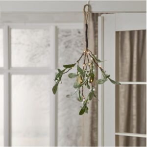LED dekorācija āmulis Star Trading Twig Mistel, 35cm, 10LED, 2x2032, ar taimeri, IP20