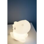 LED Nakts lampa uzlādējama Star Trading NightLight Dinosaur, 15cm, 8LED, RGB+W, ar taimeri, USB-C