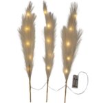 LED gaismas dekorācija Star Trading Twig Plumes, 3gb., 65cm, 15LED, WW, IP20, 2xAA, ar taimeri