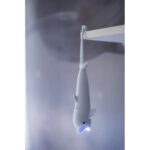 Uzlādējams LED lukturis delfīns Star Trading Flashlight LED Luz, 29cm, USB-C, Silikona